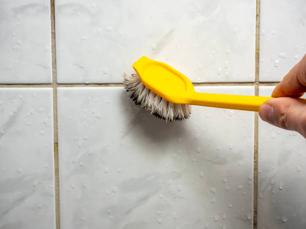 Best Mold Testing and Inspection Services in Port Neches, TX
