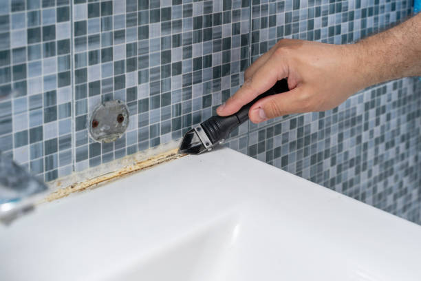 Best Mold Remediation for Schools in Port Neches, TX