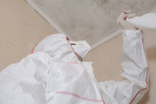 Best Bathroom Mold Remediation in Port Neches, TX