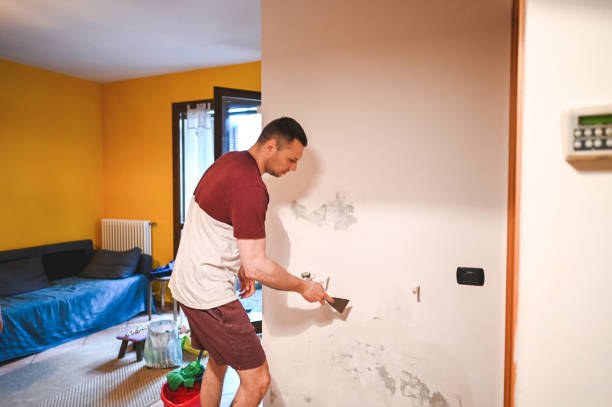 Best Crawl Space Mold Remediation in Port Neches, TX